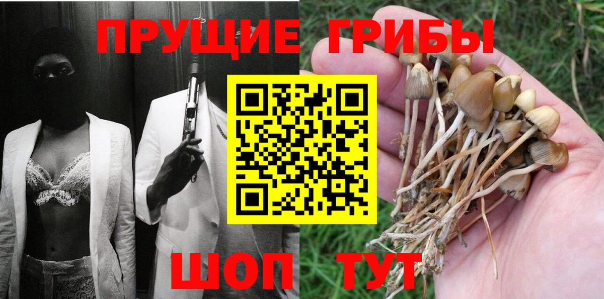 Псилоцибиновые грибы Cubensis Похвистнево